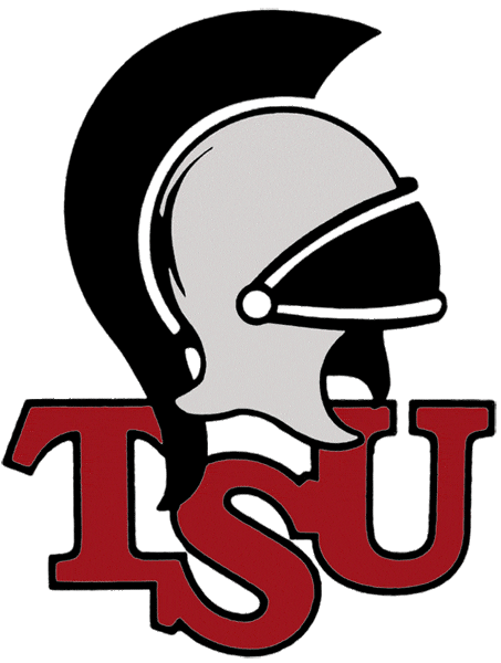 Troy Trojans 1993-2003 Primary Logo iron on paper